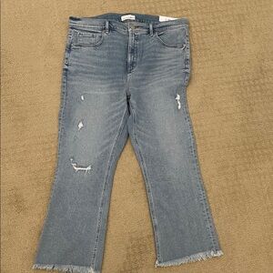 LOFT Women's Denim Flare Jeans with Distressed Details